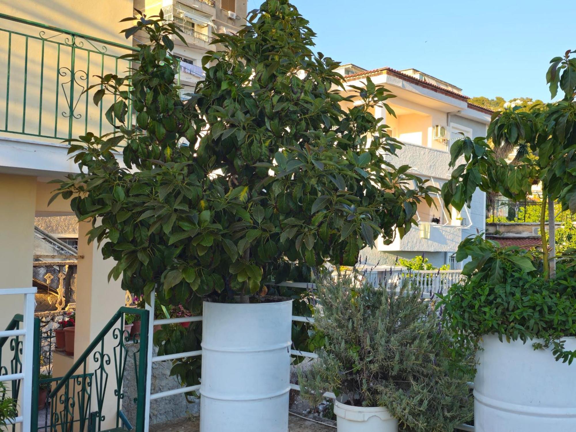 Joen Apartments Sarandë Exteriör bild